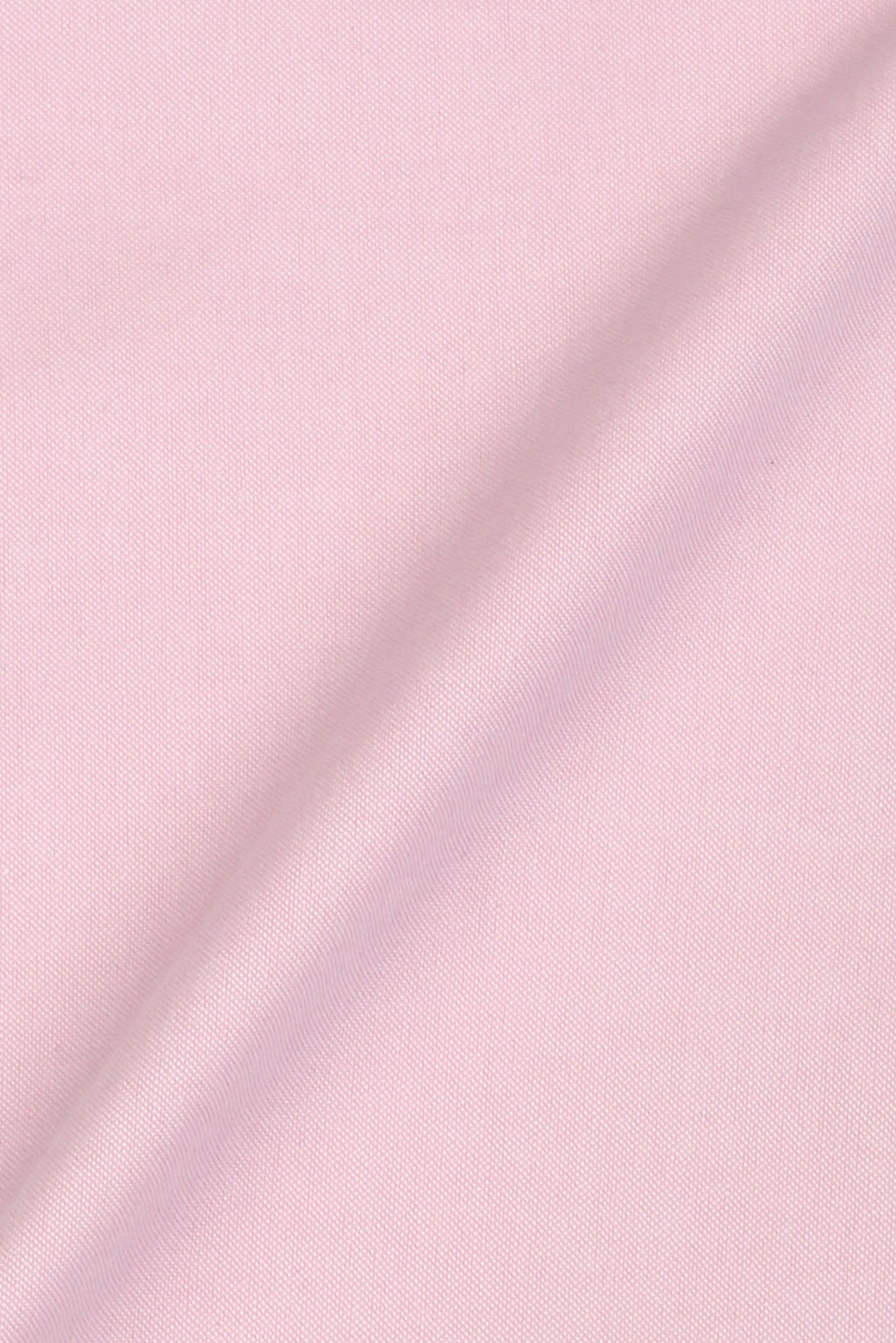 Crisp Pink Oxford