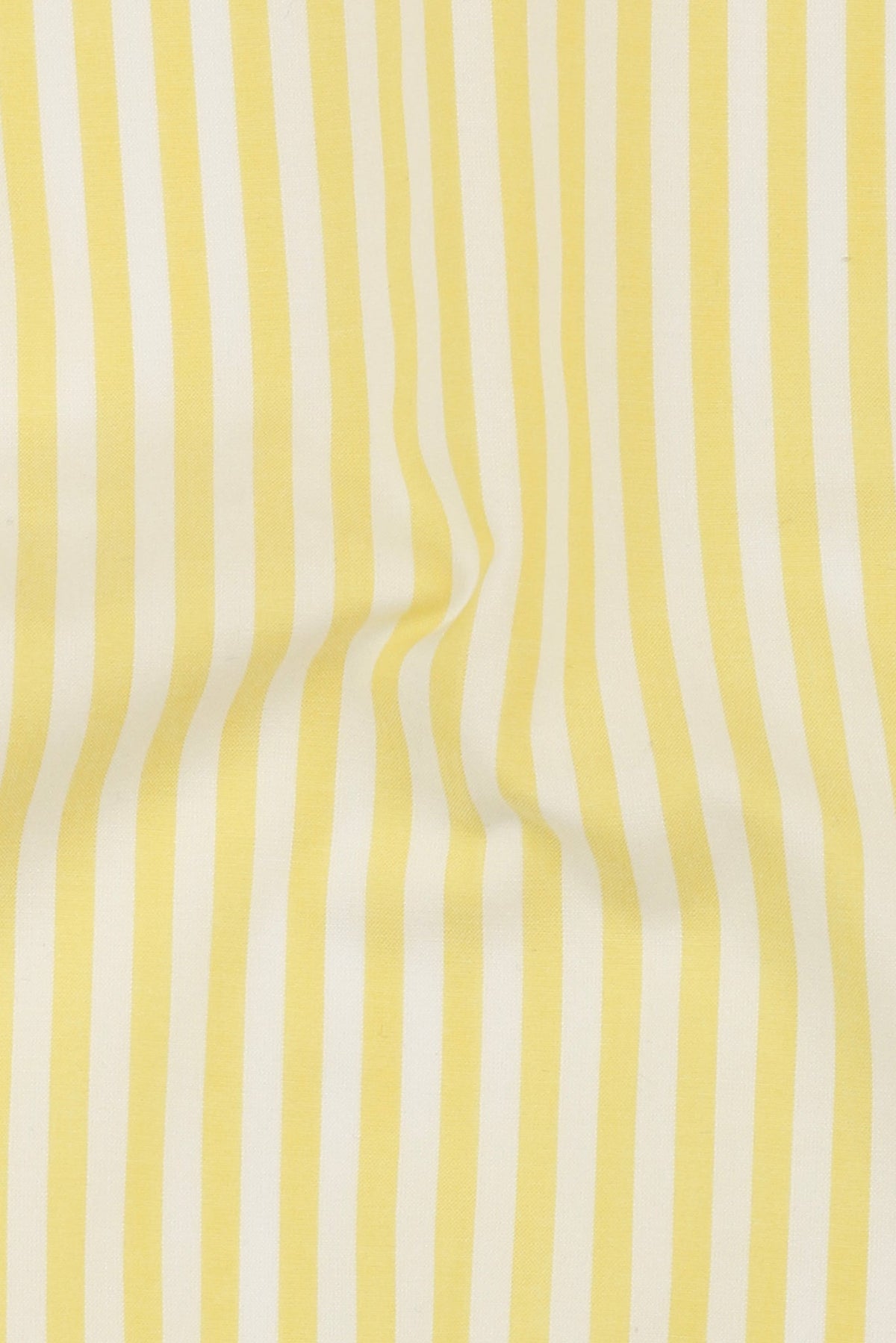 Soft Yellow Bengal Striped