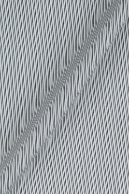 Charcoal Green Pencil Supima Cotton Stripes