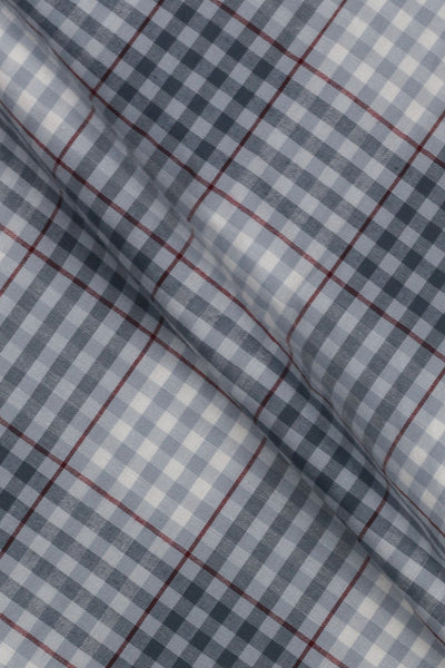 Salt Blue and White Check